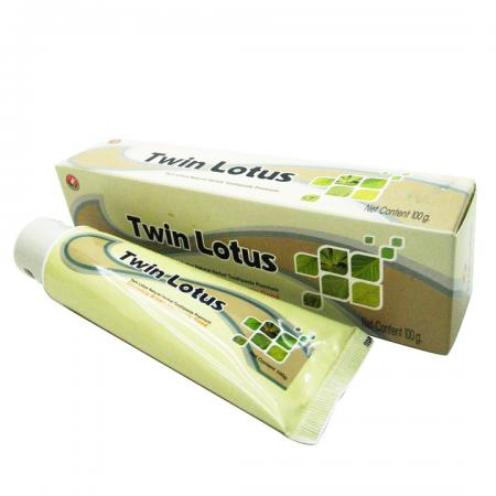 Зубная паста с натуральными травами (toothpaste) Twin Lotus | Твин Лотус 100г