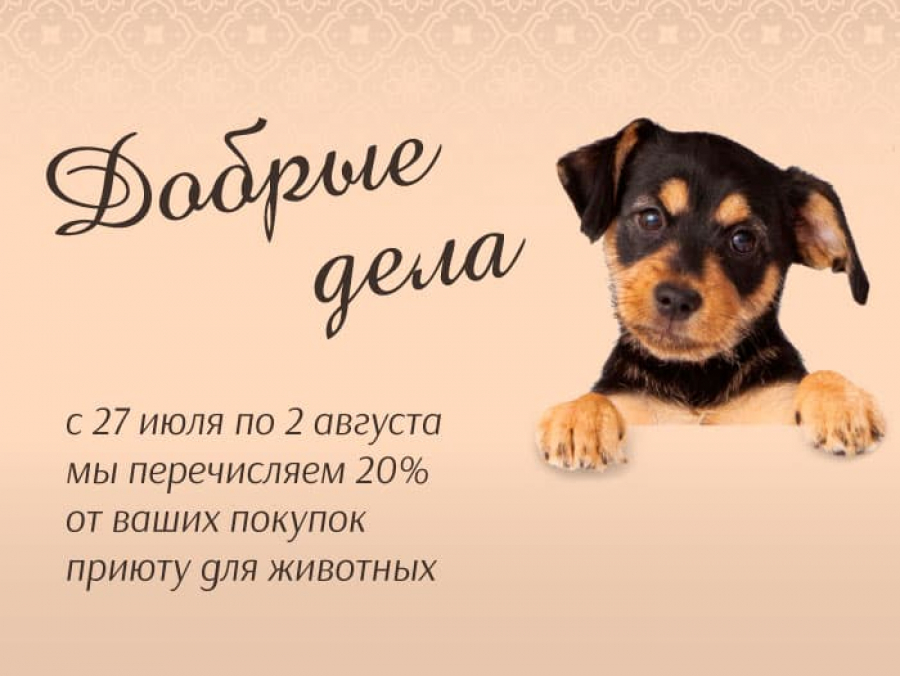 Неделя добрых дел