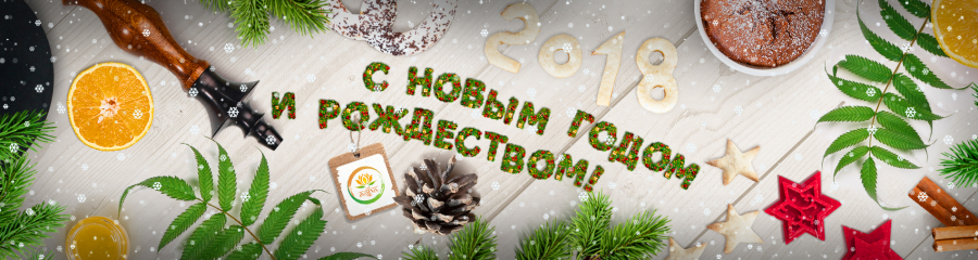 Поздравляем Вас с наступающим Новым Годом и Рождеством!