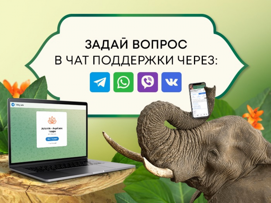 Задай вопрос в чат поддержки