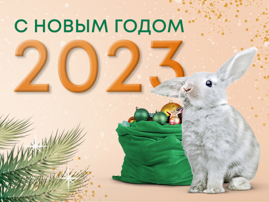 С Новым годом 2023