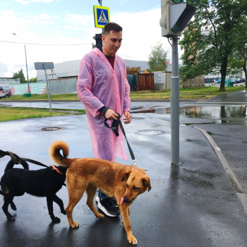 30.06.2019 команда Ашанти снова посетила приют «Ласковый зверь»