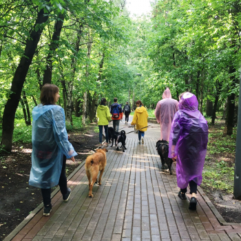 30.06.2019 команда Ашанти снова посетила приют «Ласковый зверь»