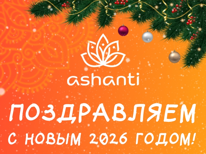 Поздравляем Вас с наступающим Новым 2026 годом!