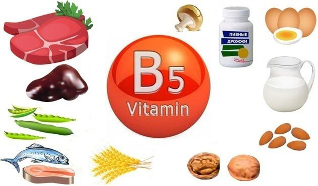 Витамин б вред. Источники витамина в5. Витамин б5 пантотеновая кислота. Витамин в5 или пантотеновая кислота. Витамин b5 источники витамина.