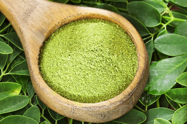 moringa.jpg