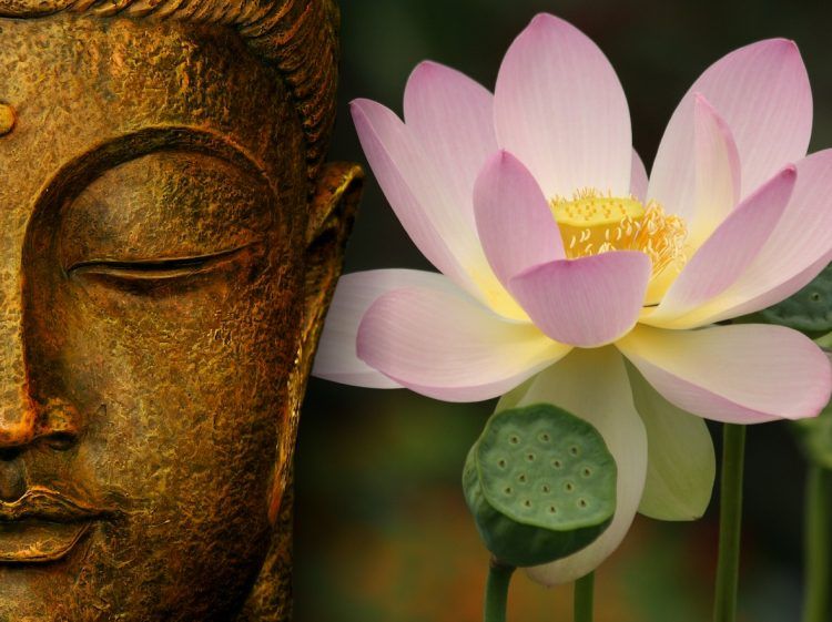 Символ лотоса, что означает в буддизме | Ashaindia