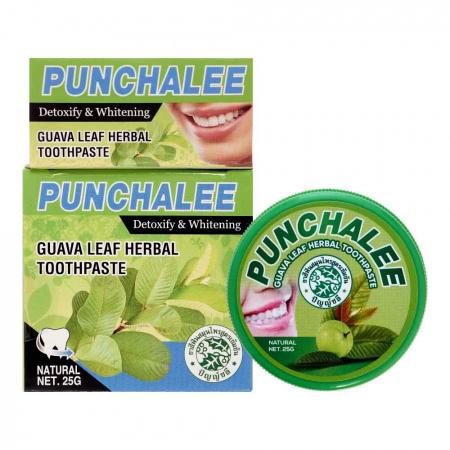 Растительная зубная паста с экстрактом листьев гуавы Панчале (Toothpaste Leaf Herbal) RasYan | РасЯн 25г-1