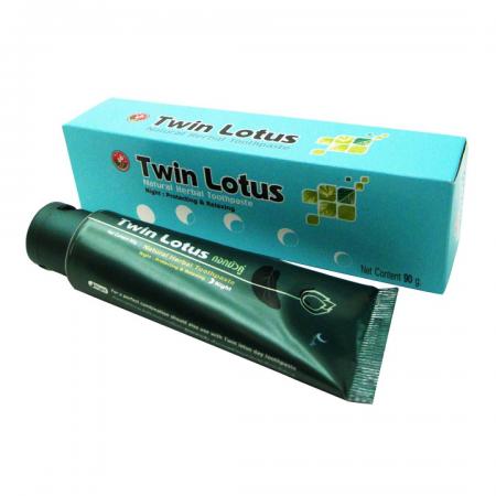 Зубная паста на травах ночная (toothpaste) Twin Lotus | Твин Лотус 90г-1