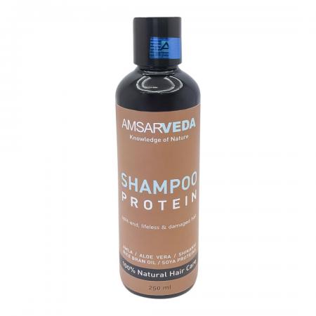 Протеиновый шампунь для волос с амлой, шикакай и соей (shampoo) Amsarveda | Амсарведа 250мл-1