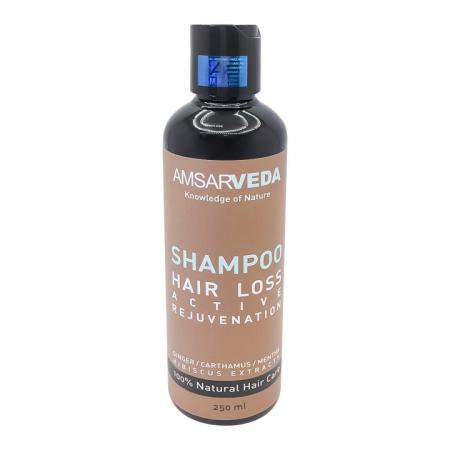 Шампунь против выпадения волос с имбирем и мятой (shampoo) Amsarveda | Амсарведа 250мл-1