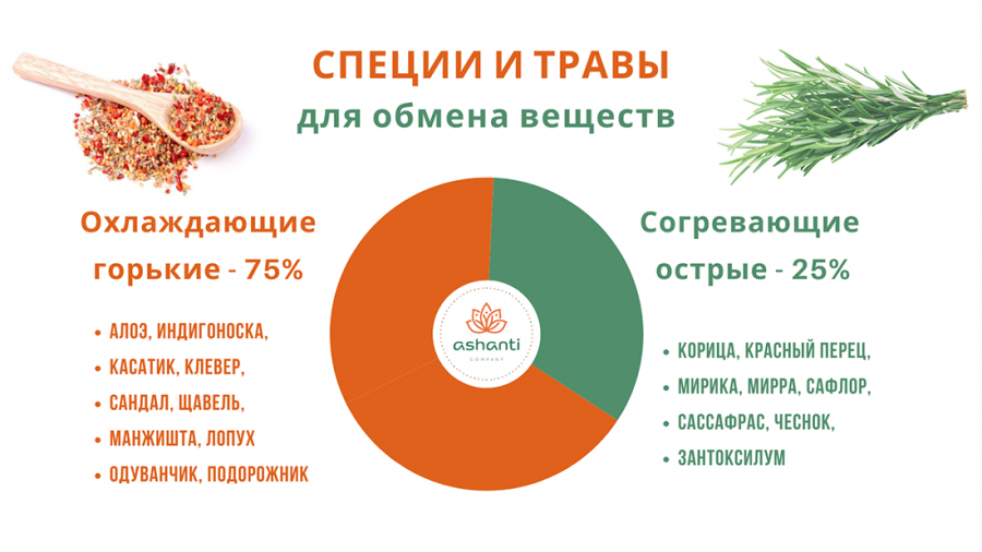 Все о специях и приправах: что для чего?