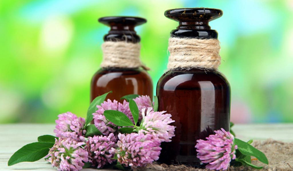 Красный клевер Красный клевер